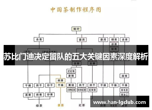 苏比门迪决定留队的五大关键因素深度解析 苏比门迪决定留队的五大关键因素深度解析