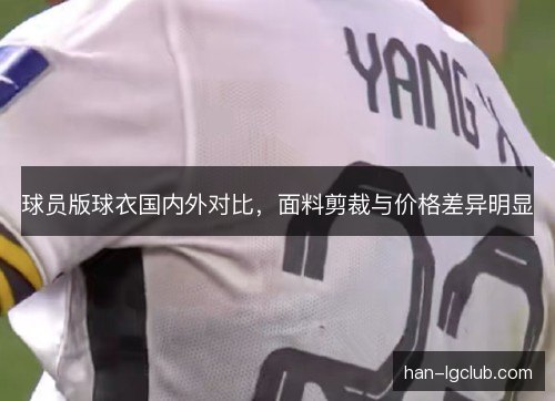 球员版球衣国内外对比，面料剪裁与价格差异明显